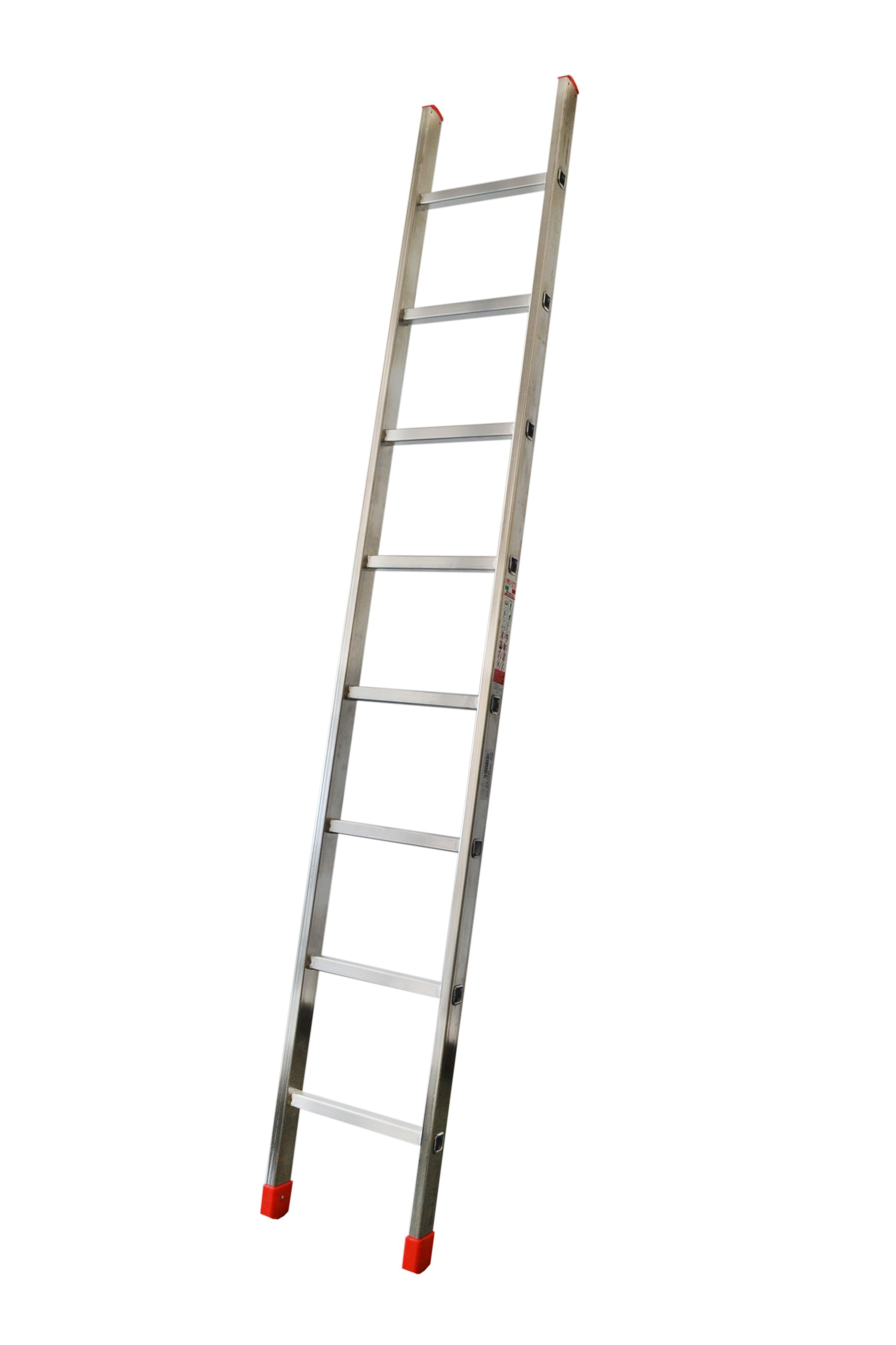 ED1